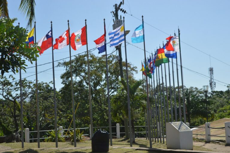 Various national flags displayed on poles outdoors.